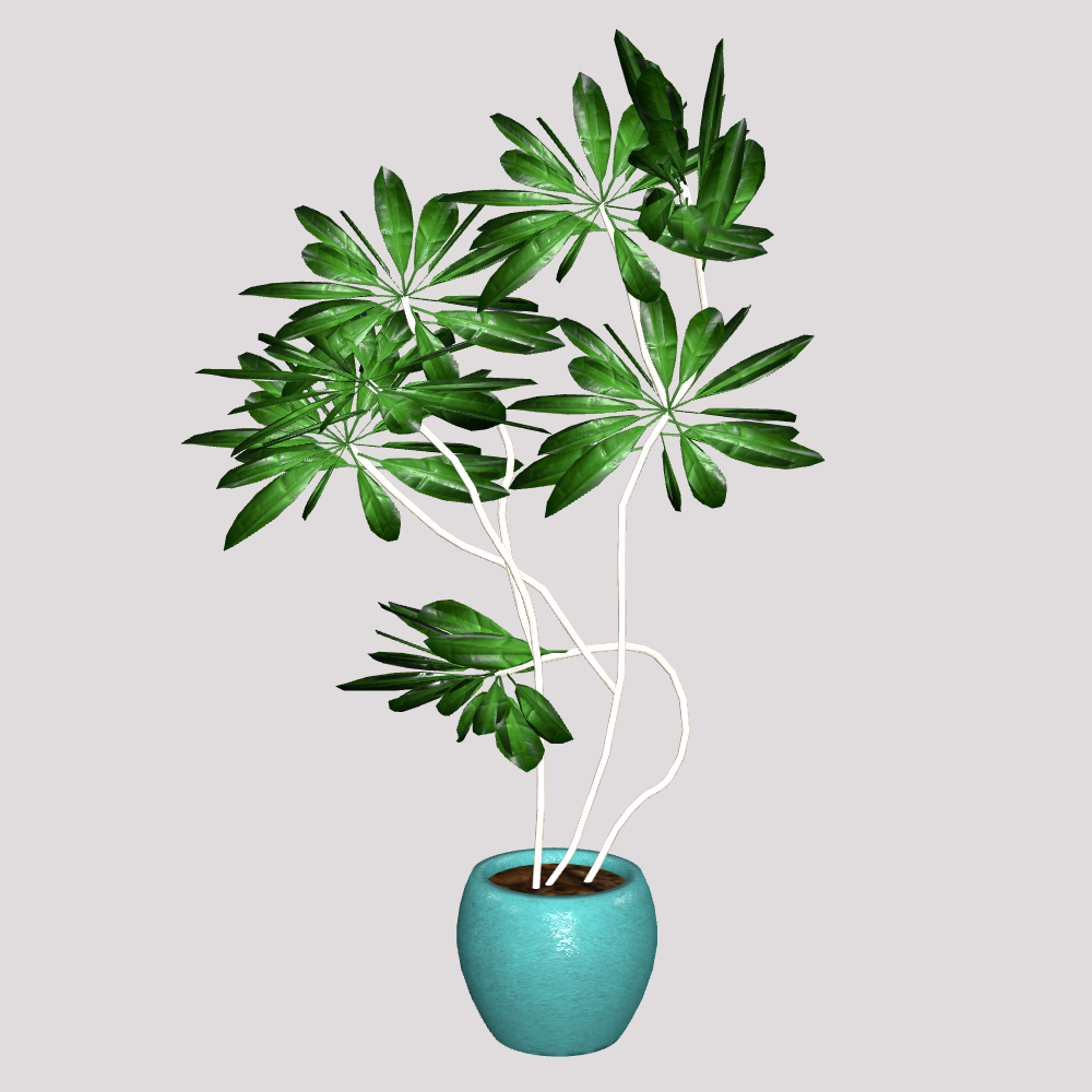 観葉植物